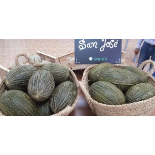 Compra MELÓN SAN JOSE F1 (1000 Semillas). en la tienda online Fito Agrícola