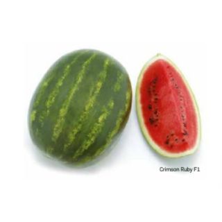 Compra SANDÍA CRIMSON RUBY F1 (1000 Semillas). en la tienda online Fito Agrícola