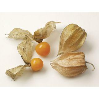 Compra PHYSALIS GOLDITA (1000 Semillas). en la tienda online Fito Agrícola