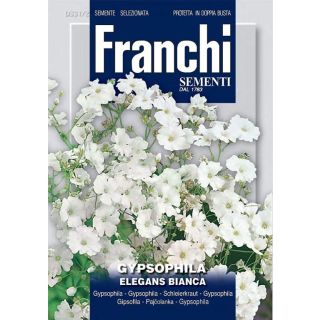Compra GIPSOPHILA ELEGANS BLANCA (100 gr.). en la tienda online Fito Agrícola