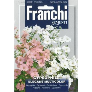 Compra GIPSOFILA ELEGANS MULTICOLOR (100 gr.). en la tienda online Fito Agrícola