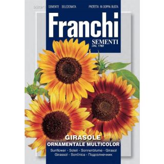 Compra GIRASOL ORNAMENTAL MULTICOLOR (100 gr.). en la tienda online Fito Agrícola