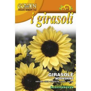 Compra GIRASOL MOONSHINE (3 gr.). en la tienda online Fito Agrícola