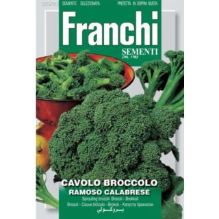 Compra BRÓCOLI RAMOSO CALABRES (100 gr.). en la tienda online Fito Agrícola