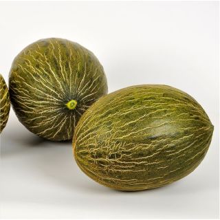 Compra MELÓN RONCERO F1 (1000 Semillas). en la tienda online Fito Agrícola