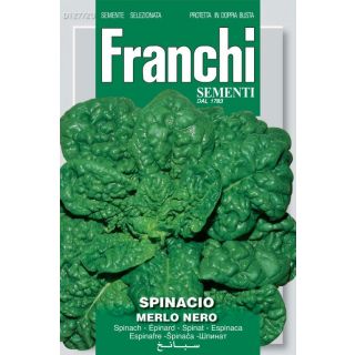 Compra ESPINACA MERLO NERO (500 gr.). en la tienda online Fito Agrícola
