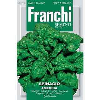 Compra ESPINACA AMERICA (14 gr.). en la tienda online Fito Agrícola