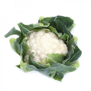 Compra COLIFLOR CHAMBORD RZ F1 Precisión (2.500 Semillas). en la tienda online Fito Agrícola