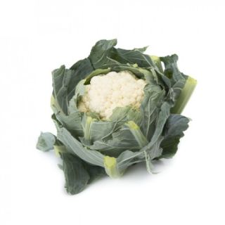 Compra COLIFLOR VENOSA RZ F1 Precisión (2.500 Semillas). en la tienda online Fito Agrícola