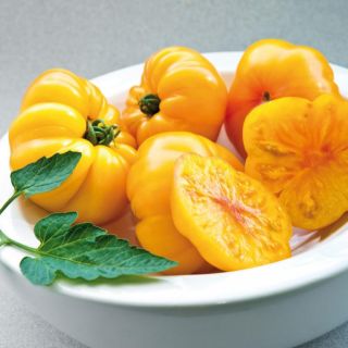 Compra TOMATE MARGOLD F1 (250 Semillas). en la tienda online Fito Agrícola