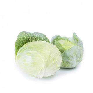 Compra COL GINTAMA RZ F1 Precisión (2.500 Semillas). en la tienda online Fito Agrícola