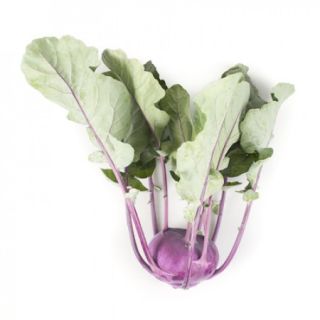 Compra COLIRRÁBANO UKZA RZ F1 Precisión (2.500 Semillas) en la tienda online Fito Agrícola