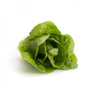 Compra LECHUGA ALCIRA RZ Pildorada (5.000 Semillas). en la tienda online Fito Agrícola