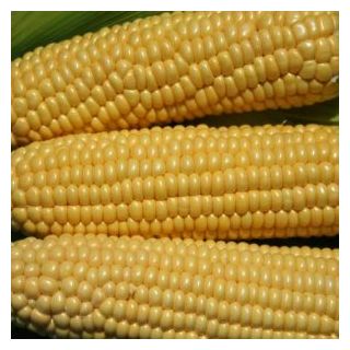 Compra MAÍZ SUPERDULCE EARLIBIRD F1 Sin Tratar (10.000 Semillas). en la tienda online Fito Agrícola