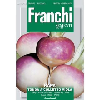 Compra NABO GLOBO BLANCO DE CUELLO VIOLETA (500 gr.). en la tienda online Fito Agrícola