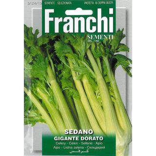 Compra APIO GIGANTE DORADO (100 gr.). en la tienda online Fito Agrícola