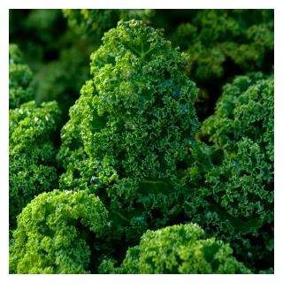 Compra COL KALE AFRO Sin Tratar (10.000 Semillas) en la tienda online Fito Agrícola