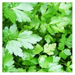 Compra PEREJIL OSCAR Sin Tratar (10.000 Semillas) en la tienda online Fito Agrícola