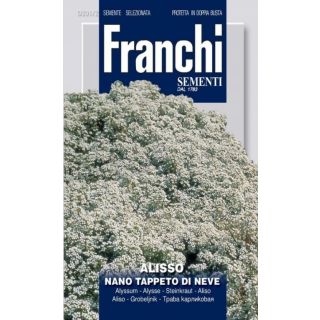 Compra ALISO ENANO ALFOMBRA DE NIEVE (50 gr.). en la tienda online Fito Agrícola