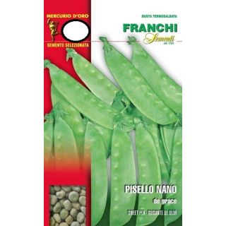 Compra GUISANTE DE GRACE (25 Kgr.) en la tienda online Fito Agrícola