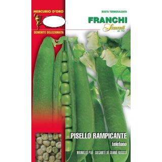 Compra GUISANTE TELEFONO (5 Kgr.) en la tienda online Fito Agrícola