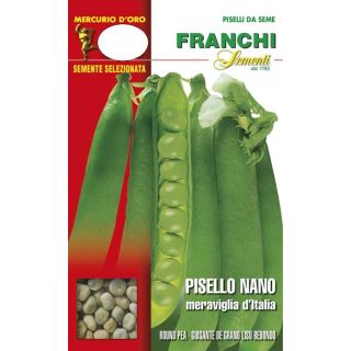 Compra GUISANTE MARAVILLA DE ITALIA (25 Kgr.) en la tienda online Fito Agrícola