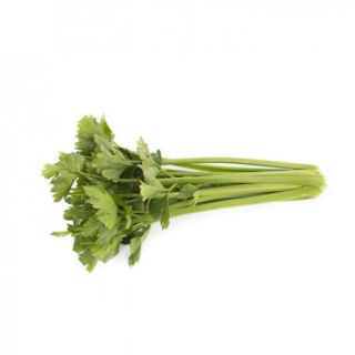 Compra APIO KELVIN RZ F1 Pildorado (10.000 Semillas) en la tienda online Fito Agrícola