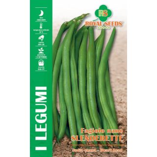 Compra JUDÍA SLENDERETTE (25 Kgr.). en la tienda online Fito Agrícola