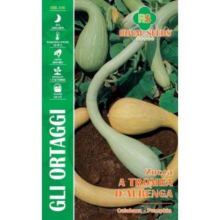 Compra CALABAZA TROMBA DE ALBENGA (3,5 gr.). en la tienda online Fito Agrícola