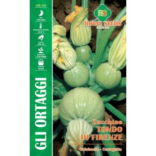 Compra CALABACÍN REDONDO DE FLORENCIA (9 gr.). en la tienda online Fito Agrícola