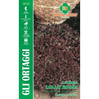 Compra LECHUGA LOLLO ROSSA (6 gr. - Cerca de 10.000 Semillas) en la tienda online Fito Agrícola