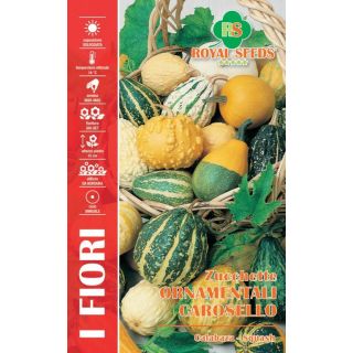Compra CALABAZA ORNAMENTAL MEZCLA (4 gr.). en la tienda online Fito Agrícola
