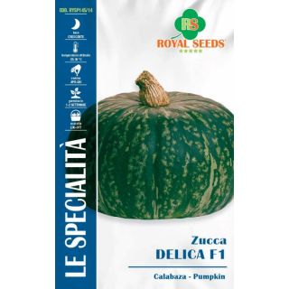 Compra CALABAZA DELICA F-1 (1,5 gr.). en la tienda online Fito Agrícola