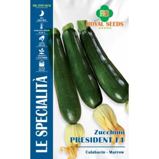 Compra CALABACÍN PRESIDENT F1 (4 gr.). en la tienda online Fito Agrícola