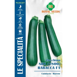 Compra CALABACÍN RABACCA F1 (4 gr.). en la tienda online Fito Agrícola
