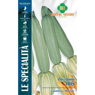 Compra CALABACÍN IBIS F1 (4 gr.). en la tienda online Fito Agrícola