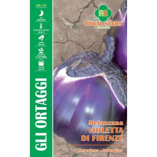 Compra BERENJENA MORADA DE FLORENCIA (2 gr.). en la tienda online Fito Agrícola