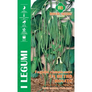 Compra JUDÍA STRINGA A GRANO BRUNO (50 gr.). en la tienda online Fito Agrícola