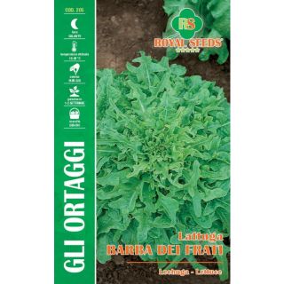 Compra LECHUGA BARBA DE LOS FRAILES (8 gr.). en la tienda online Fito Agrícola