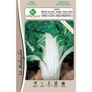 Compra ACELGA VERDE DE PENCA ANCHA ARGENTATA BIO (10 gr.). en la tienda online Fito Agrícola
