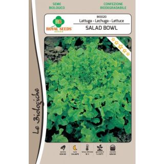 Compra LECHUGA SALAD BOLW BIO (4 gr.). en la tienda online Fito Agrícola