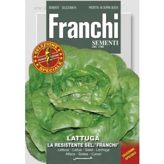 Compra LECHUGA LA RESISTENTE Sel. Franchi (5 gr.) en la tienda online Fito Agrícola