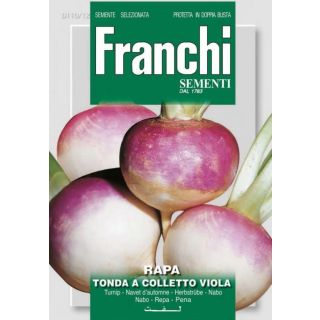 Compra NABO GLOBO BLANCO DE CUELLO VIOLETA (15 gr.). en la tienda online Fito Agrícola