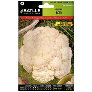 Compra COLIFLOR BRIO Sel. Urgelba (5 gr.) en la tienda online Fito Agrícola