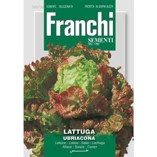 Compra LECHUGA UBRIACONA (9 gr.). en la tienda online Fito Agrícola