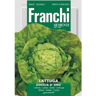 Compra LECHUGA GOTTE JAUNE D'OR (8 gr.). en la tienda online Fito Agrícola