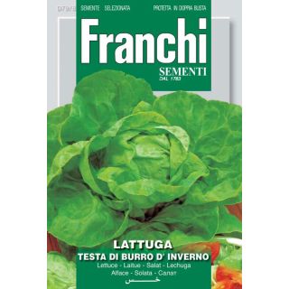 Compra LECHUGA TESTA DE BURRO DE INVIERNO (100 gr.). en la tienda online Fito Agrícola