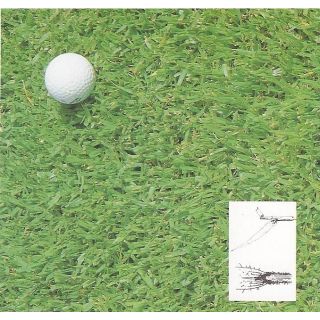 Compra KIKUYU AZ-1 Pildorado (200 gr.). en la tienda online Fito Agrícola