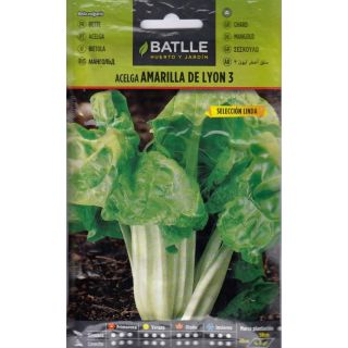 Compra ACELGA AMARILLA DE LYON 3 Sel. Linda (5 gr.) en la tienda online Fito Agrícola