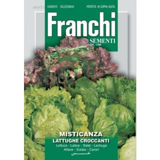 Compra LECHUGAS CRUJIENTES MIX (500 gr.). en la tienda online Fito Agrícola